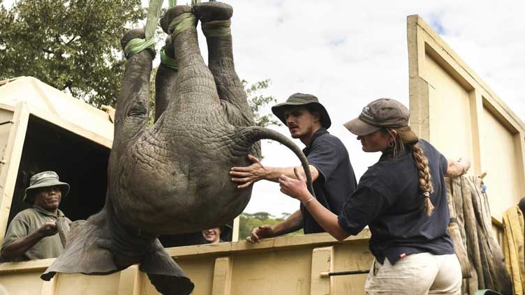  Zimbabwe moves 2,500 wild animals due to climate change