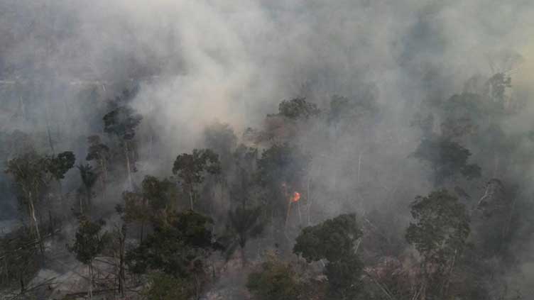 Number of Brazil Amazon fires hits five-year high in August