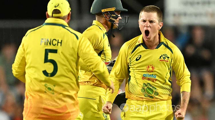 Australia wins ODI series after thrashing NZ by 113 runs