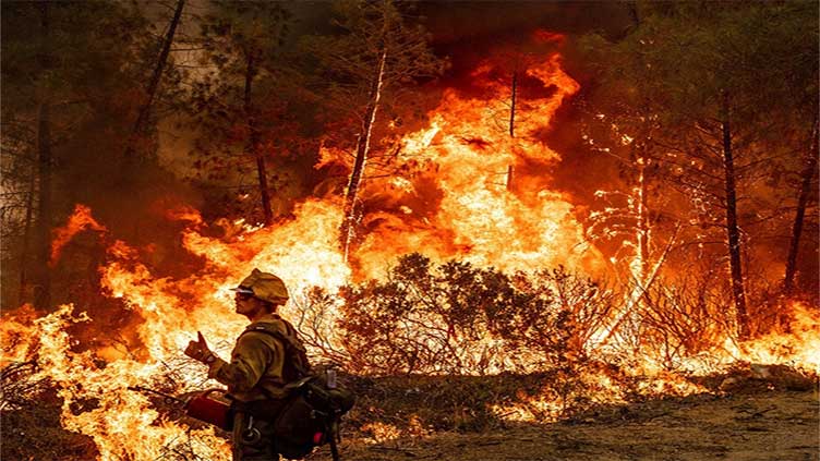 New wildfire spreading in central California mountains