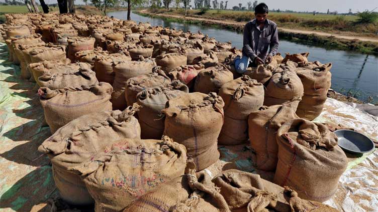 India's rice export curbs paralyse trade in Asia as prices rise
