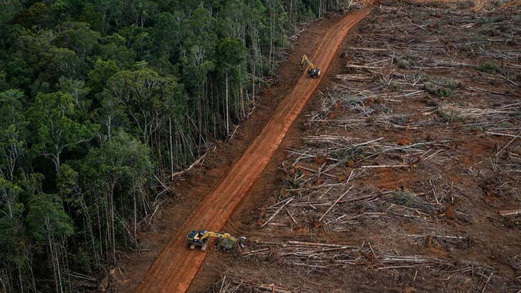 Indonesia, Norway ink deal to reward rainforest protection