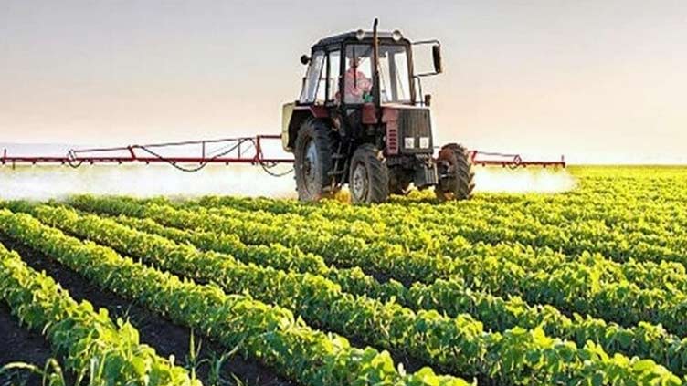 VAC of PARC approves 29 hybrid seed varieties for cultivation