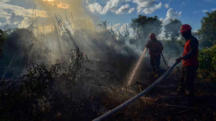 Indonesia, Brazil biggest culprits in tropical forest loss linked to industrial mining