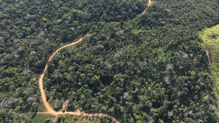 Fears of 'subprime' carbon assets stall crypto mission to save rainforest