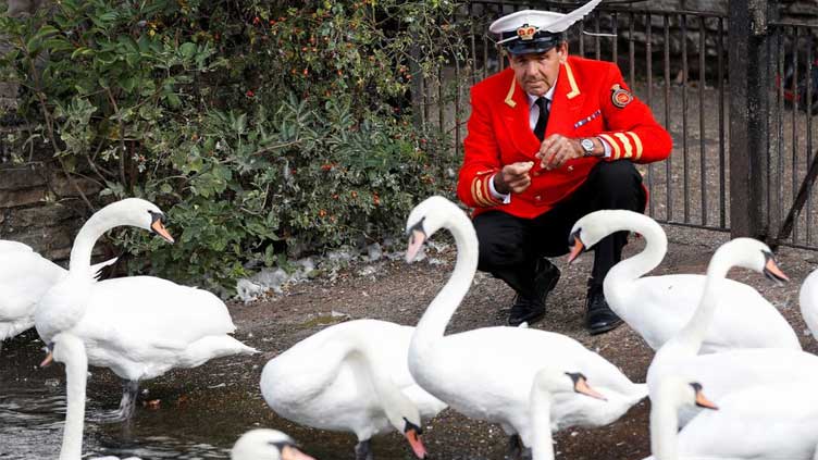  Britain's swans get new owner with royal succession