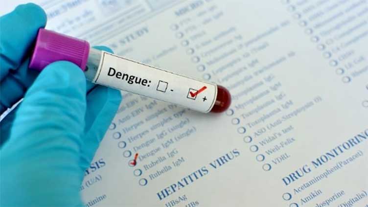 KP reports 361 dengue cases, one death in 24 hours