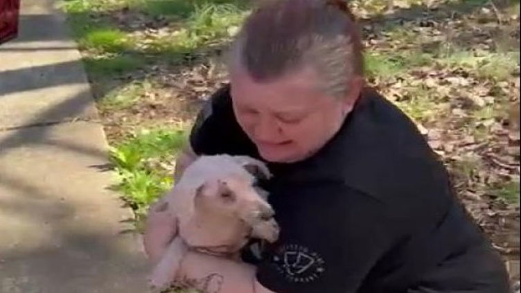 Family reunited with lost dog after three years