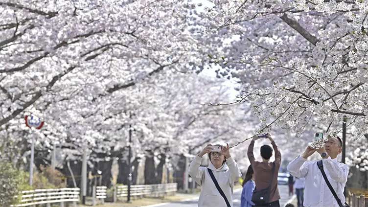 Small areas reopen near Fukushima nuclear plant, few return