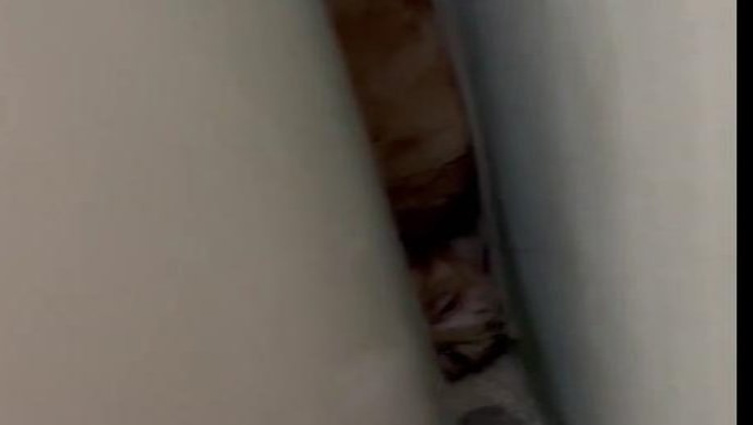 Upside-down kitten rescued from behind water heater