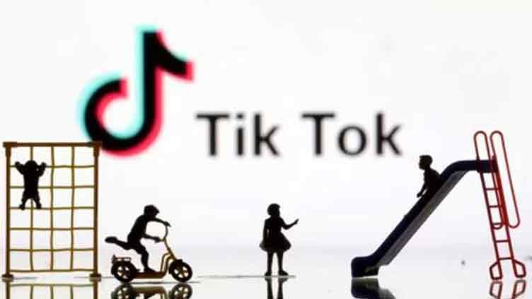 Portuguese NGO sues TikTok, says platform 'profits from children'