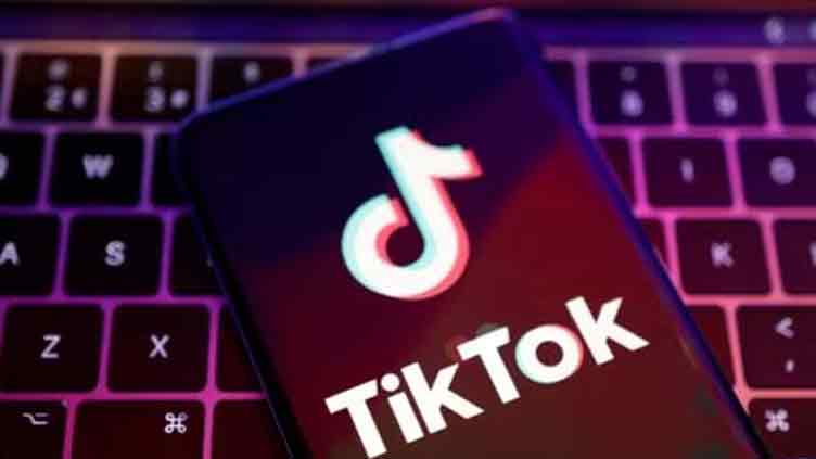 Vietnam to conduct comprehensive inspection of TikTok over harmful content