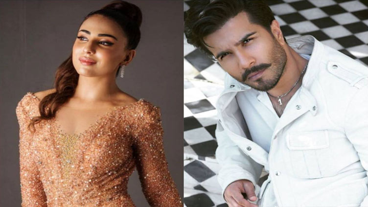 Ushna Shah reconciles with Feroze Khan 