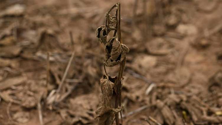 Historic drought adds to Argentina's economic woes