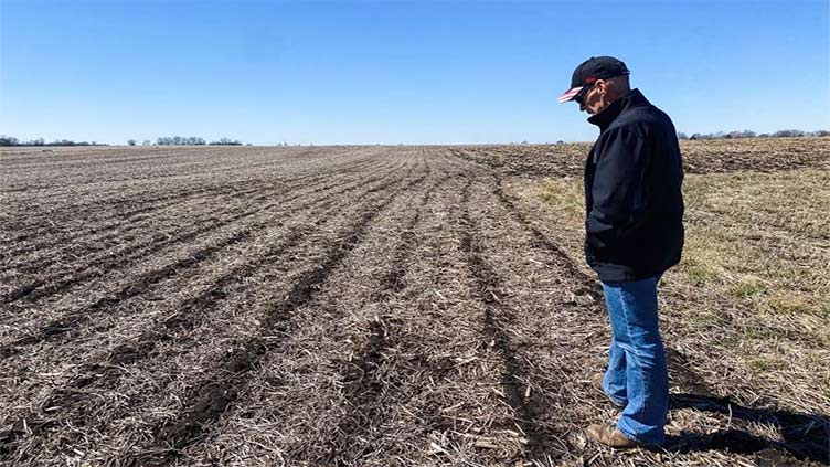 After growing GM corn for decades, some US farmers open to Mexican restrictions