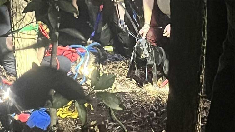 Dogs rescued from 60-foot-deep cave in Kentucky