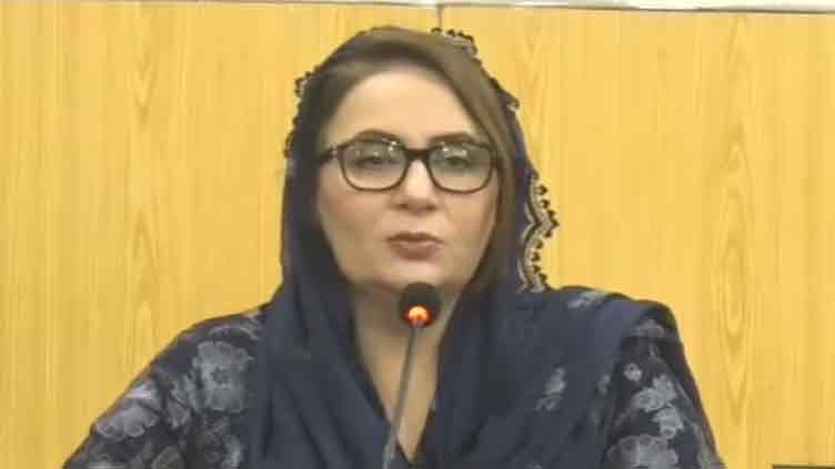 PTI's Musarrat welcomes NSC statement on security situation
