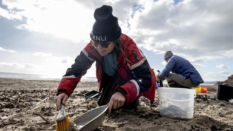 Plastic pollution is scourge of English coastal region