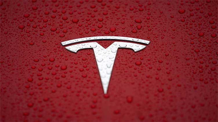 Factbox: Tesla sets stage for annual shareholder meeting