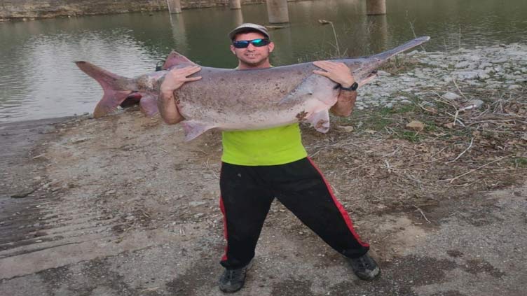 Arkansas man catches 102-pound paddlefish from his kayak