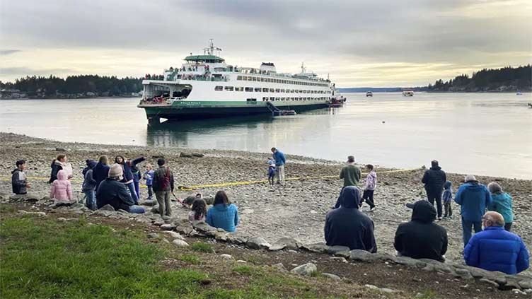 Ferry runs aground near Seattle; no injuries reported