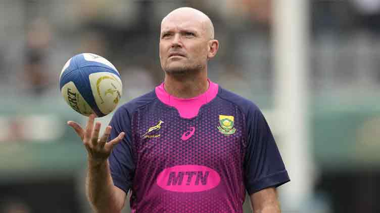 Stick or Davids set to succeed Nienaber as Springboks coach