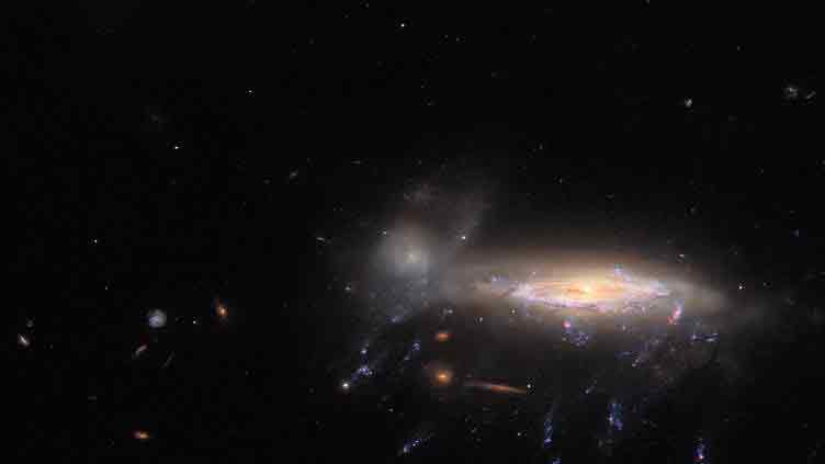 Hubble spots a galaxy with tendrils