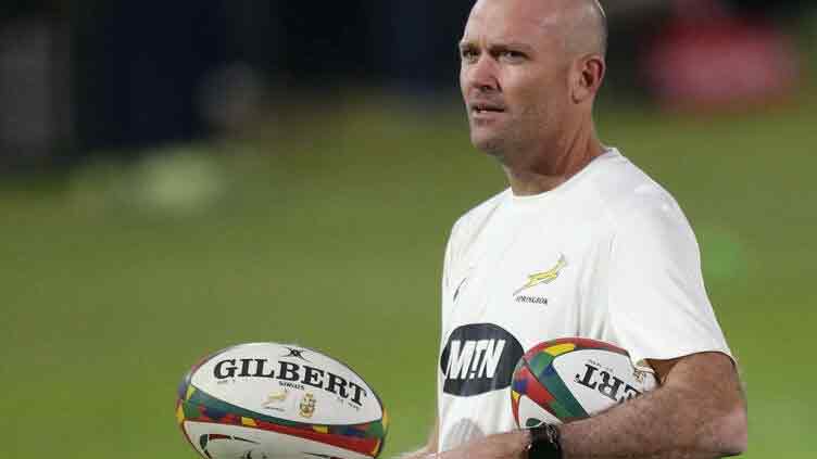 Ex-Springbok Habana 'not surprised' by Nienaber departure