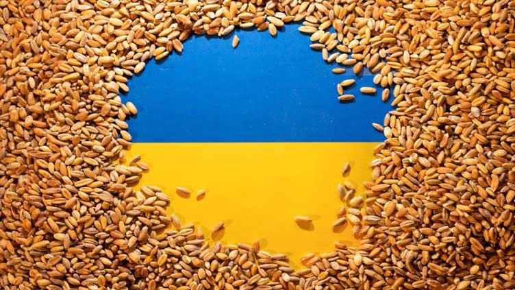 Ukraine seeks re-opening of grain transit via Poland as import bans mount