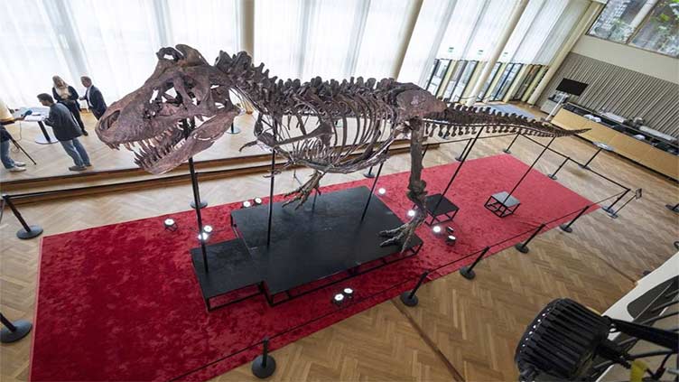T-Rex skeleton sells for more than $6 mln at Swiss auction
