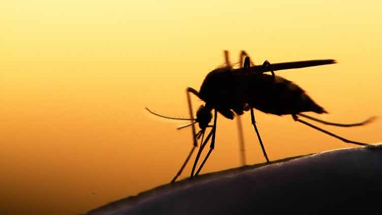 Malaria cases spike in Pakistan, Malawi after 'climate-driven' disasters