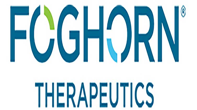 Foghorn Therapeutics pauses enrolment in cancer drug study