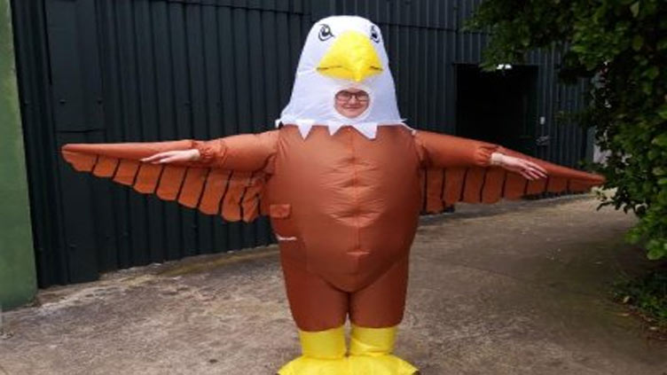 Zoo seeking 'seagull deterrents' to wear giant bird costumes, scare seagulls