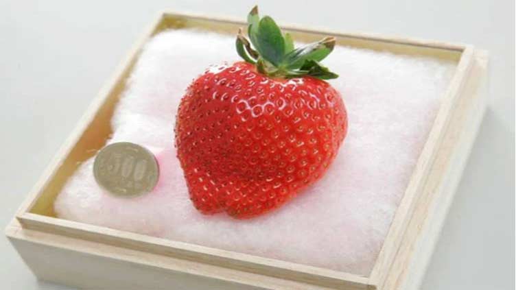 Beautiful Princess: World's most expensive strawberry sold out at $350 a piece