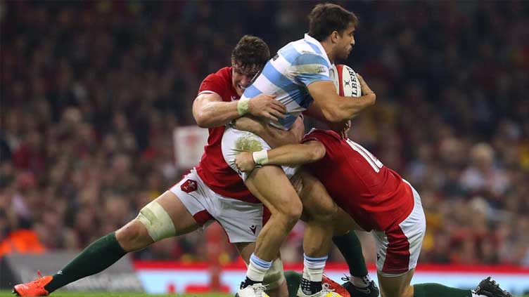 Argentine Mallia probed after collision with Springbok Williams