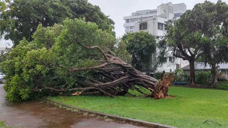 Typhoon knocks out power in southern Japan