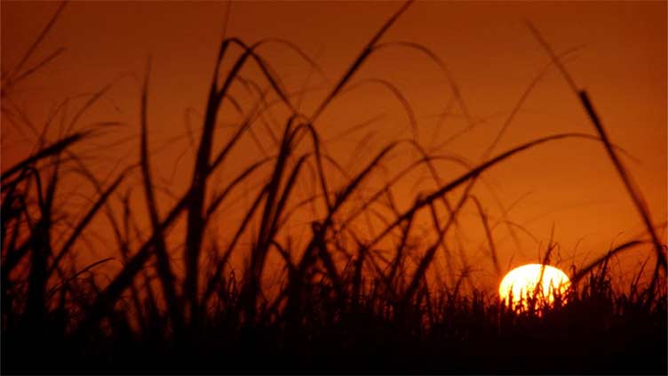 Iran shuts down for two days because of 'unprecedented heat'