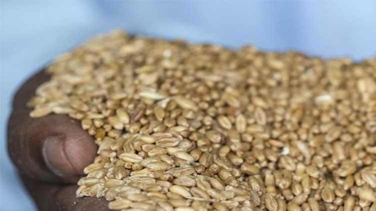 Mideast countries that are already struggling fear price hikes after Russia exits grain deal