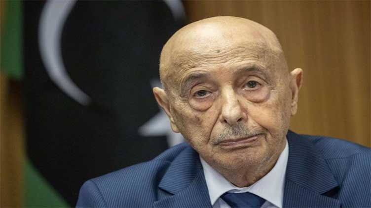 Libya's High State Council votes to replace leader