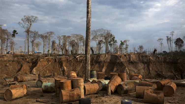 Amazon nations summit faces fault lines on oil, deforestation