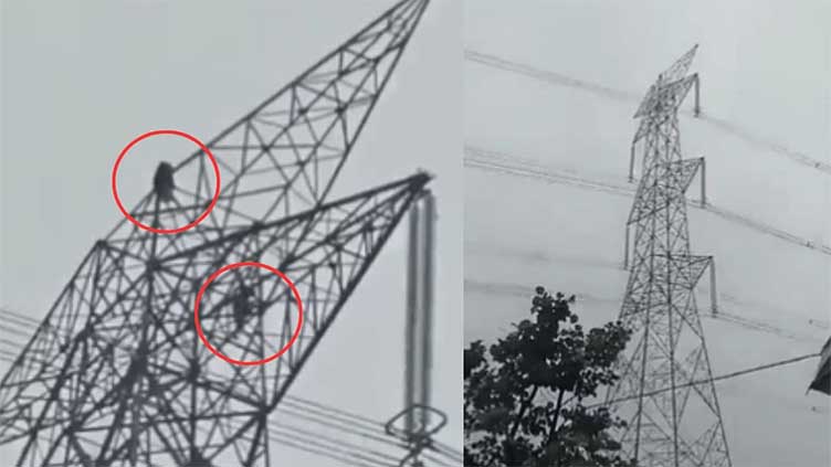 Boyfriend pursues angry girl as she scales 80-foot electric tower