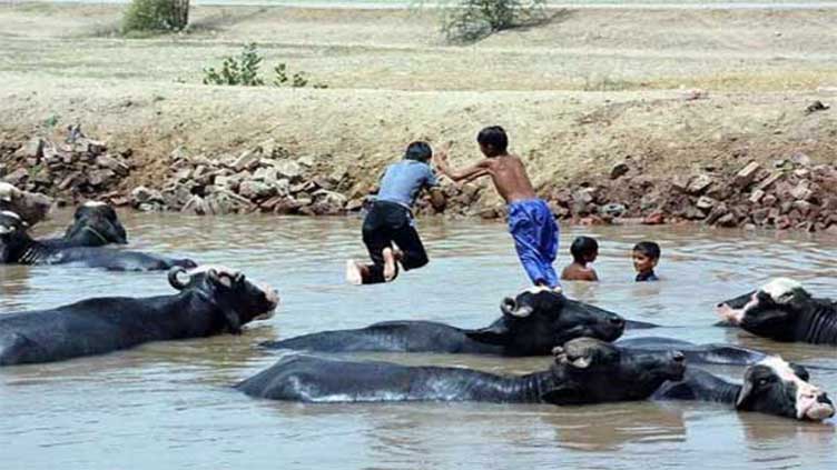 Three children drown in Rohi Nullah 