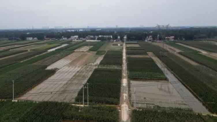 China warns of crop, animal disease outbreaks in flood-hit areas