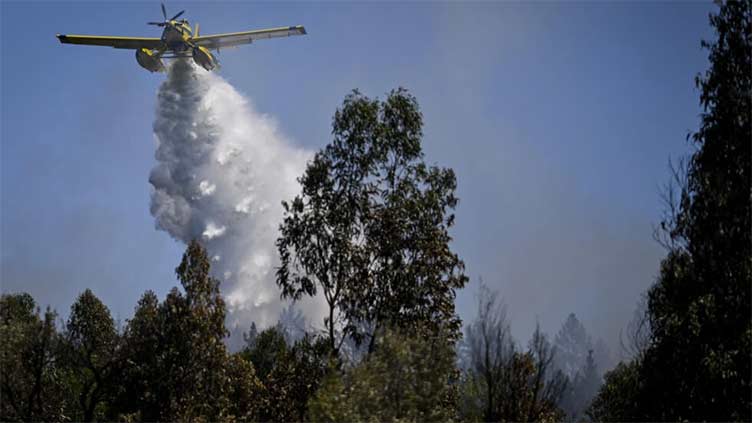 Portugal, Spain battle wildfires amid heatwave alerts