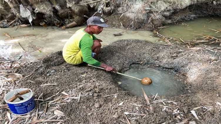 Desperate for a drink: Indonesian villagers dig up dry river bed in drought