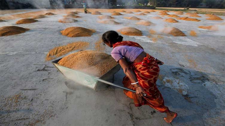 Domino effect: India rice export ban puts market on edge for copycat curbs