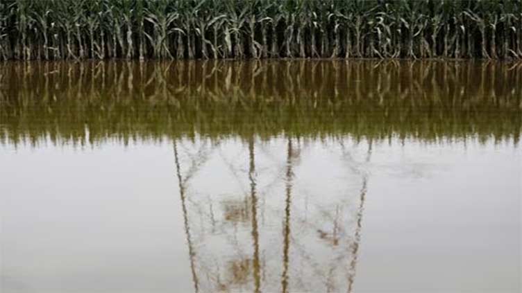 China floods hit rice, corn crops; trigger food inflation worries