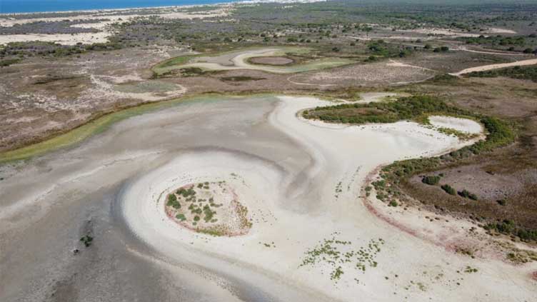 Key Spanish lagoon dries out due to drought, overexploitation