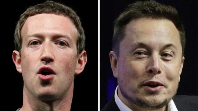 Italy stands ready to host as Musk talks up Zuckerberg rumble