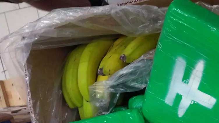 Czech police seize 646 kilograms of cocaine in banana shipment -report